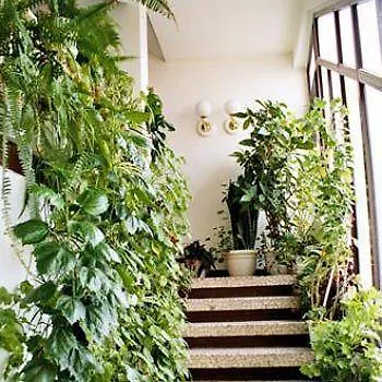 Splendid 2* Русе